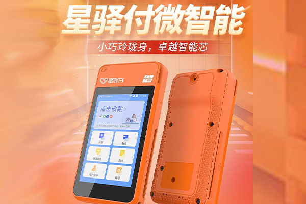 墨脱国通微电签POS机